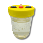 300 mL Liquid Culture Solution - Pint Size Jar