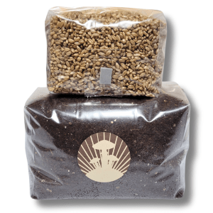 A bag of organic rye grain resting atop a larger bag of CVG mushroom substrate, both facing forward