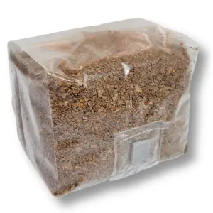 Sterilized Masters Mix mushroom grow bag with filter patch and injection port