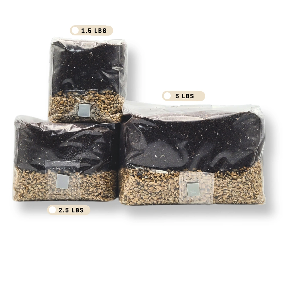 Three sizes of all-in-one mushroom grow bags for cultivation