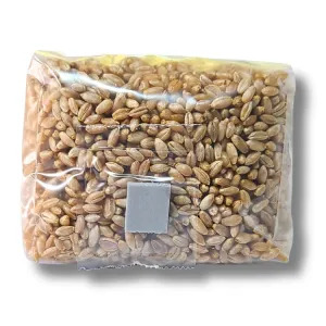 1 lb organic rye grain bag for mushroom cultivation