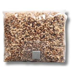 Our Seismic Blend Grain Bag is designed specifically for the cultivation of dung-loving mushroom species, combining the inherent benefits of rye and red milo grains to create a nutritiously rich, balanced, and user-friendly growing environment. This combination promises healthier growth, fortifies mycelial networks, and holds the potential for more abundant yields.