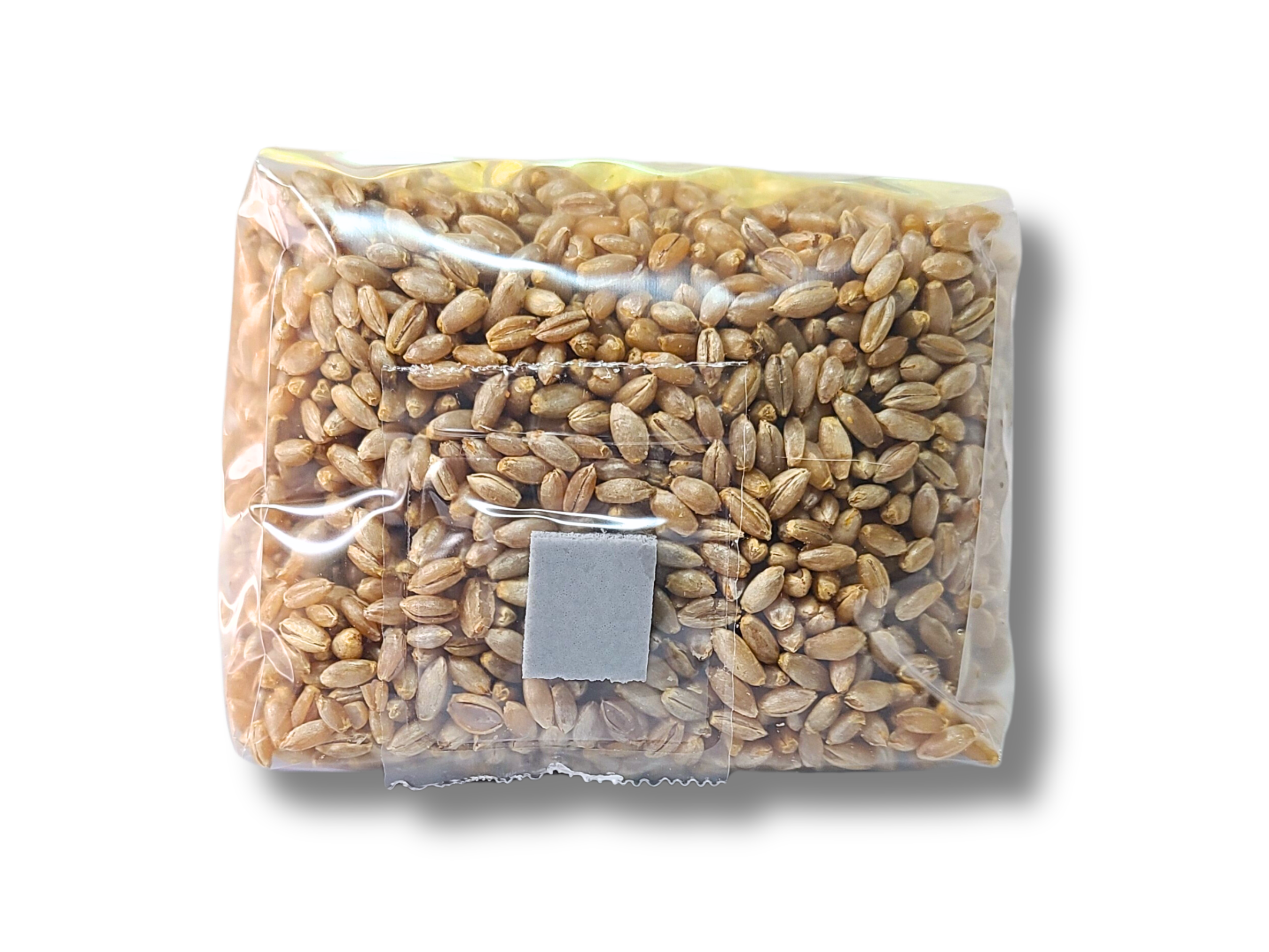Frontal image of 1 lb bag of superior organic rye grain, featuring a clear view of the self-healing injection port, essential for effective mushroom cultivation