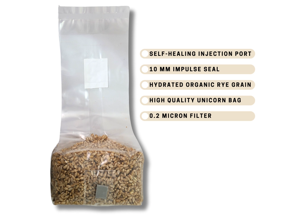 2 lb organic rye grain bag with instructions for inoculation
