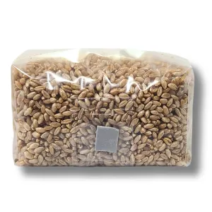 2 lb organic rye grain bag for mushroom cultivation