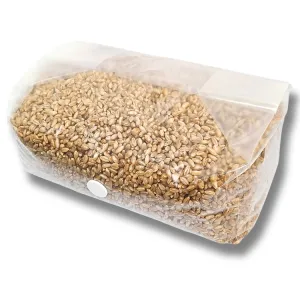5 Lb. Rye Grain Bag - Organic Rye