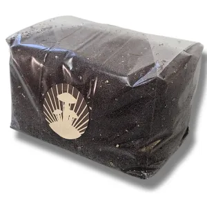 CVG mushroom substrate sealed bag front view