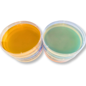 Top-down composition of two stacks, each with five assorted MEA plates