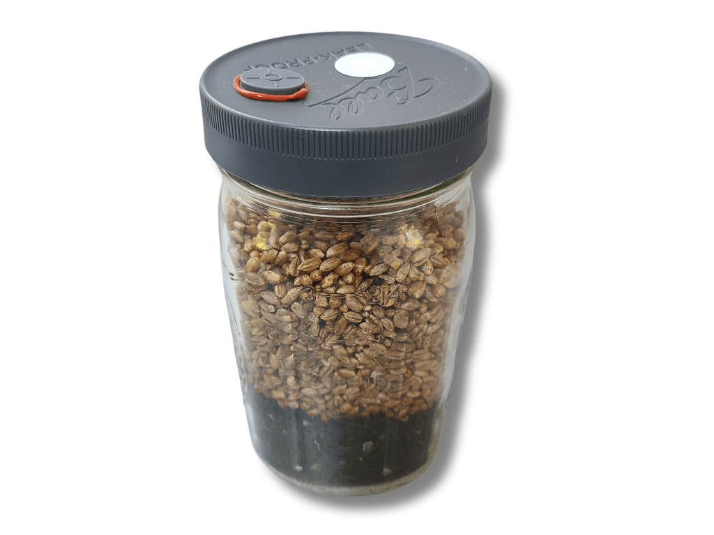 Mushroom Grow Jar All In One Quart Seismic Spore
