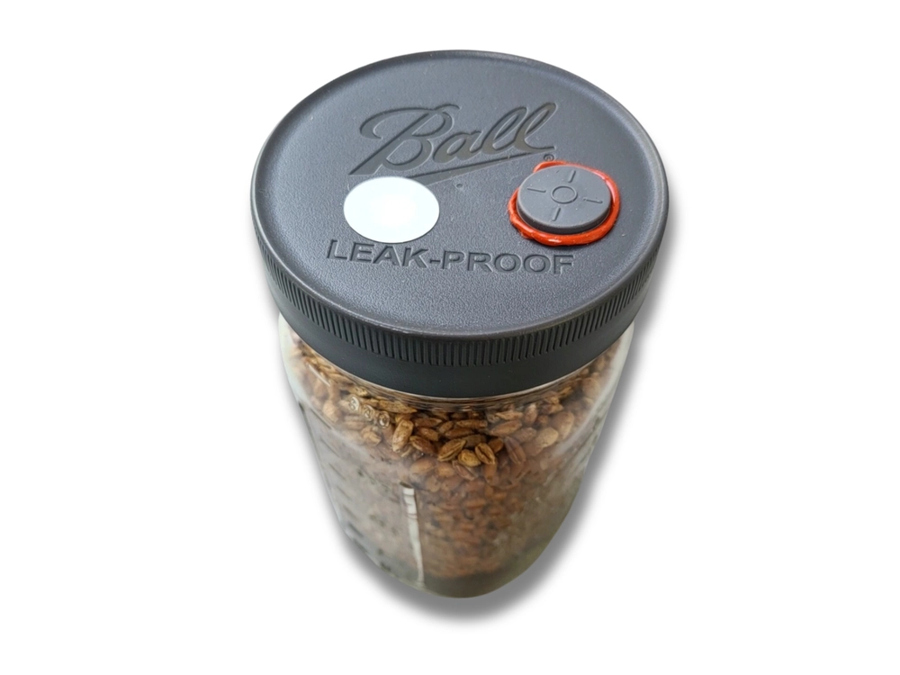 All-in-one mushroom grow jar with black lid, injection ports, and filter