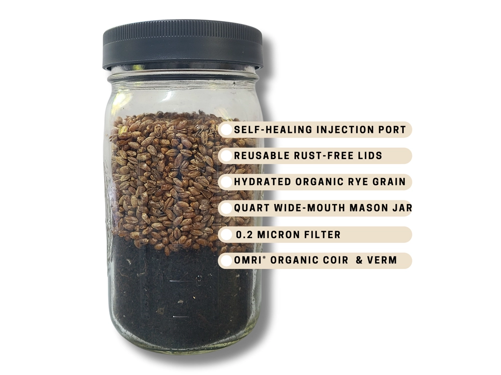 All-in-one mushroom grow jar with product specifications