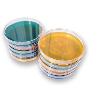 Assorted color malt extract agar plates stacked