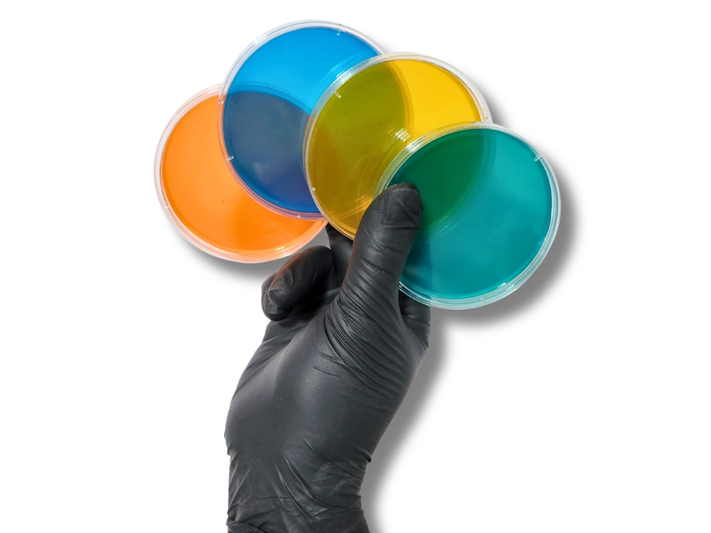 Assorted color agar plates fanned out in hand