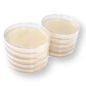 Two stacks of five clear malt extract agar plates