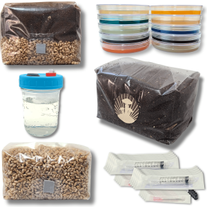 This image features all of the items in this mushroom growing supply kit, including a 2.5 AIO bag, 10 assorted agar plates, a half-pint of LC, a 3 lb. bag of CVG, a 2 lb. bag of organic rye grain, and 10 syringes.