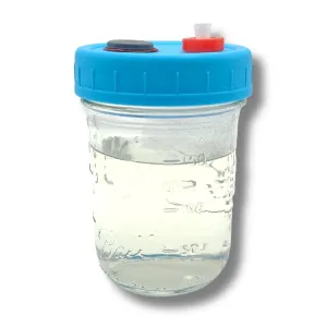 150 mL liquid culture solution in half pint jar with blue lid