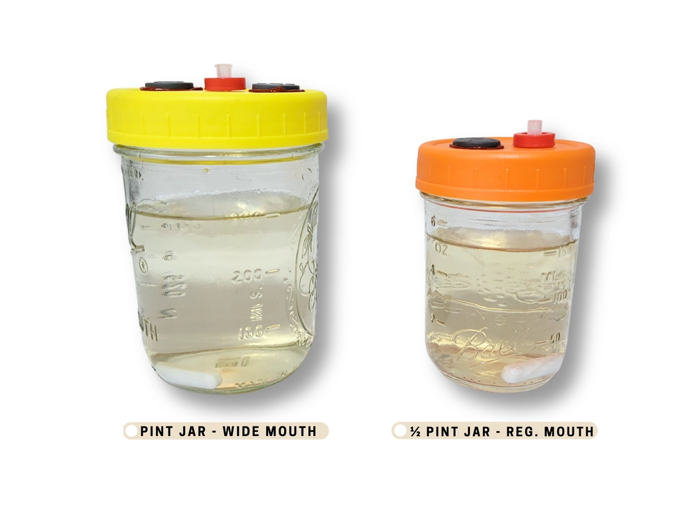 150 mL liquid culture half pint jar compared to 300 mL pint jar
