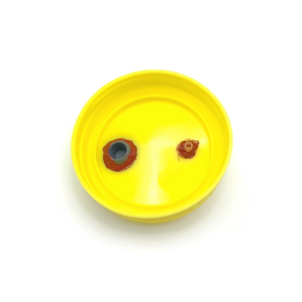 Underside of liquid culture jar lid with injection port and filter