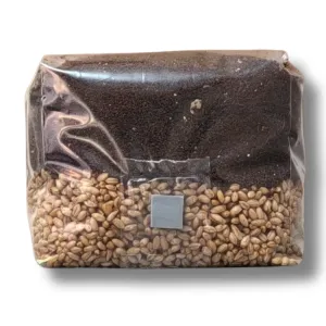 2.5 lb mushroom grow bag front view with rye and CVG substrate