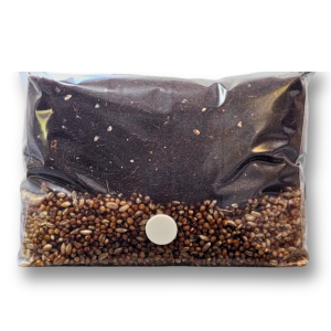 A mushroom grow bag from Seismic Spore featuring a blend of sterilized rye berry and millet with a CVG substrate, equipped with a 0.2-micron breathable filter and self-healing injection port