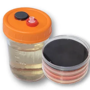 Half-pint liquid culture jar with orange lid and 4 assorted MEA plates