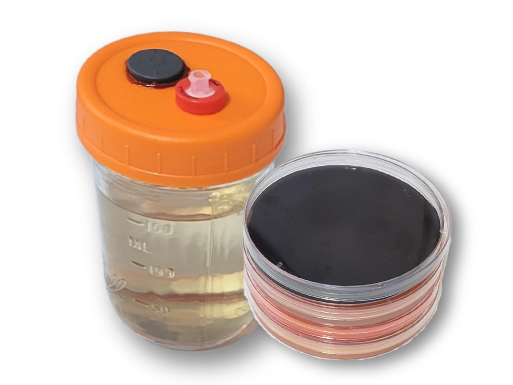 Half-pint liquid culture jar with orange lid and 4 assorted MEA plates