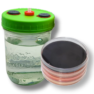 A glass jar filled with malt mushroom liquid culture and four petri dishes containing malt extract agar, displayed on a laboratory bench