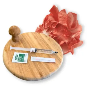 Pink Oyster Liquid Culture Syringe - 10 ml