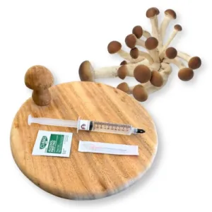 Pioppino Liquid Culture Syringe - 10 ml