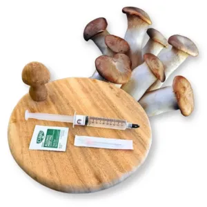 King Oyster mushroom liquid culture syringe with needle, alcohol swab, and mushrooms on a wooden board
