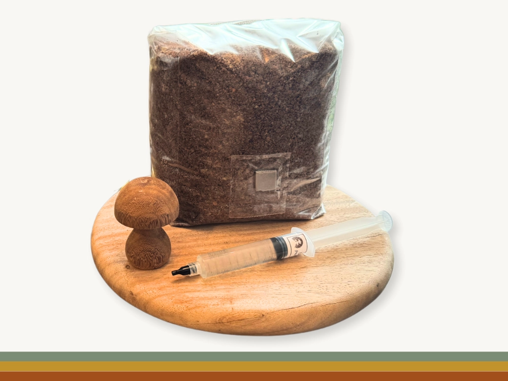 Close-up view of a liquid culture jar showcasing the self-healing injection port, air exchange filter, and magnetic stir bar.