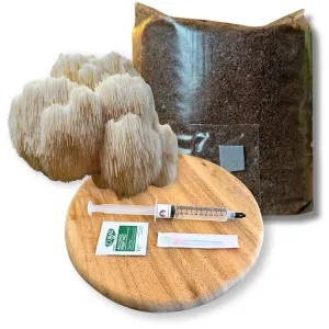 Lion’s Mane mushroom grow kit including fresh mushrooms, substrate bag, liquid culture syringe, and instructions on a wooden tray