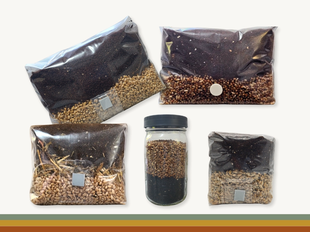 Front view of a medium All-In-One mushroom grow bag with distinct layers of grain and CVG substrate and a self-healing injection port