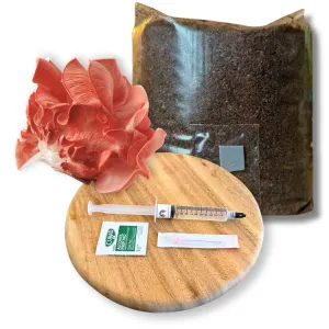 Pink Oyster mushroom grow kit with pink mushrooms, substrate bag, liquid culture syringe, and instructions displayed on a wooden tray