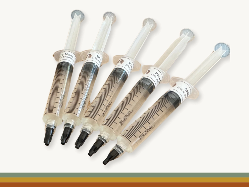 Close-up view of a liquid culture jar showcasing the self-healing injection port, air exchange filter, and magnetic stir bar.