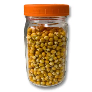 Quart jar of sterilized corn with orange modified lid on white background.
