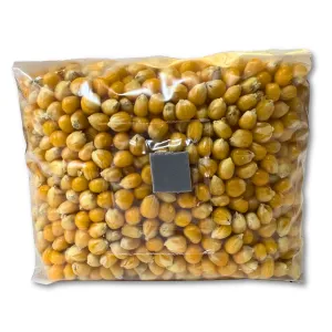 Clear sealed bag with 3 lbs of sterilized corn substrate