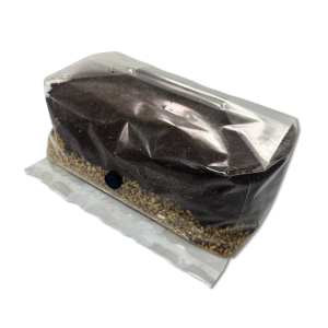 Simplified All In One - 5 Lb Mushroom Grow Bag